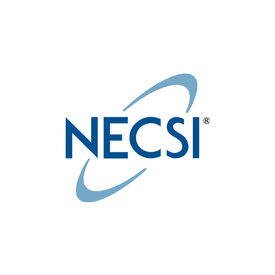 necsi necsi